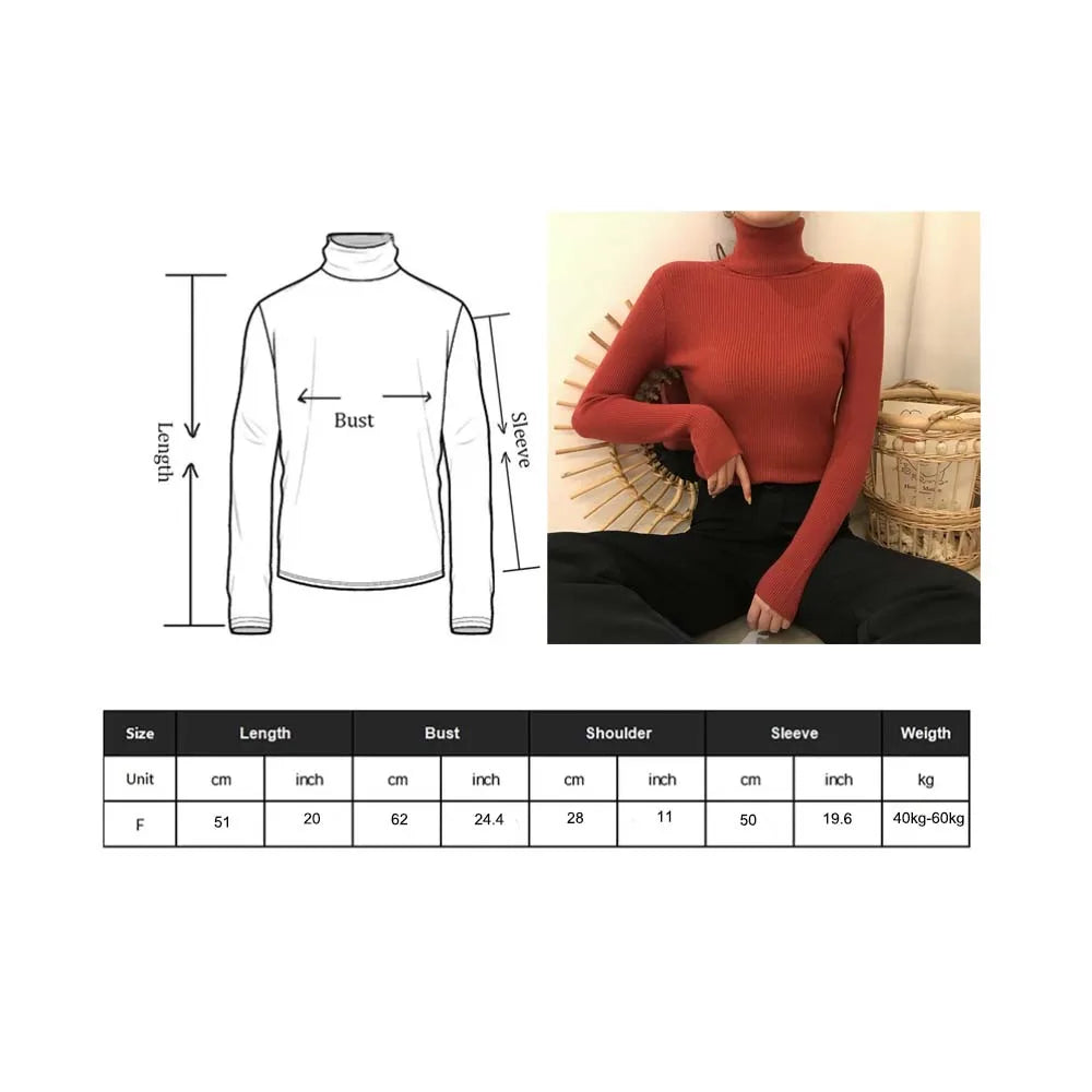 Basic Long Sleeve Turtleneck Fashion Sweater